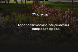 Здоровая среда с ГК «Стратег»