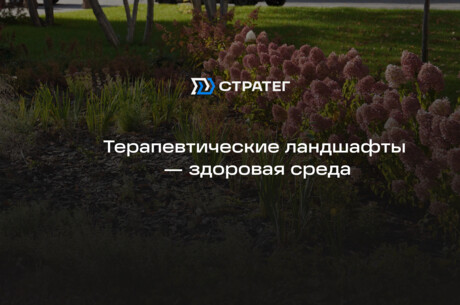 Здоровая среда с ГК «Стратег»